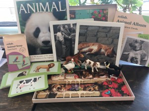 Memory Kit - Animals